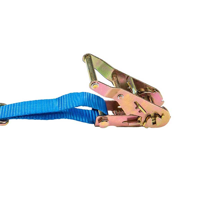 Lógó Saincheaptha 1'' X 15' Ratchet Strap le J-Hook Agus D-Ring