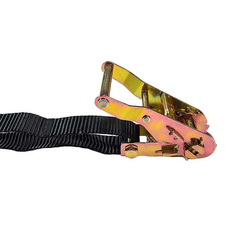 Strap búcla Ratchet poileistir 1'' X 6' le Hooks Snap Maol