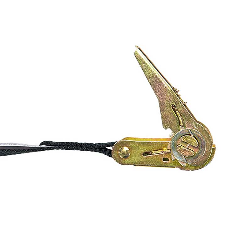 An Strap Ratchet Gan Deireadh Dubh 1 X 10'