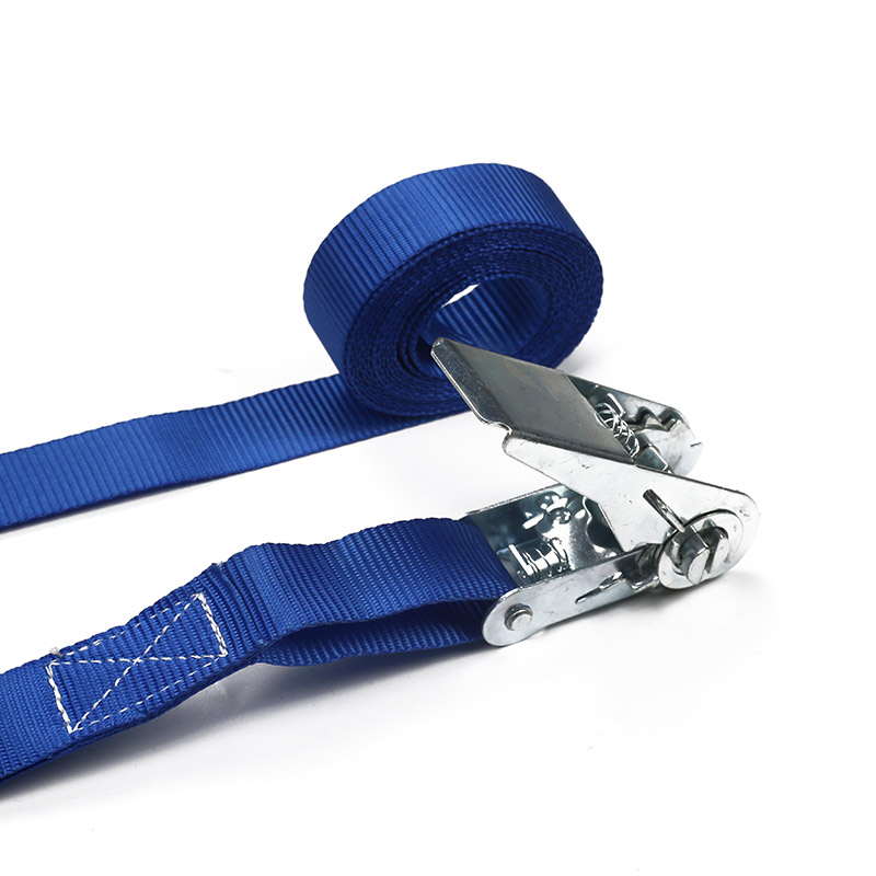 An Strap Ratchet 2PC socraithe I gCás Plaisteacha 25MM